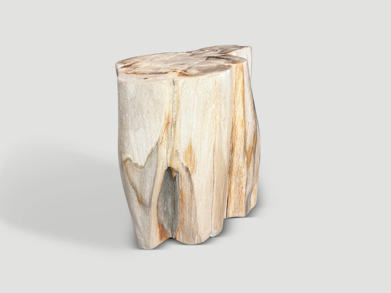 IMPRESSIVE HIGH QUALITY ANCIENT PETRIFIED WOOD SIDE TABLE