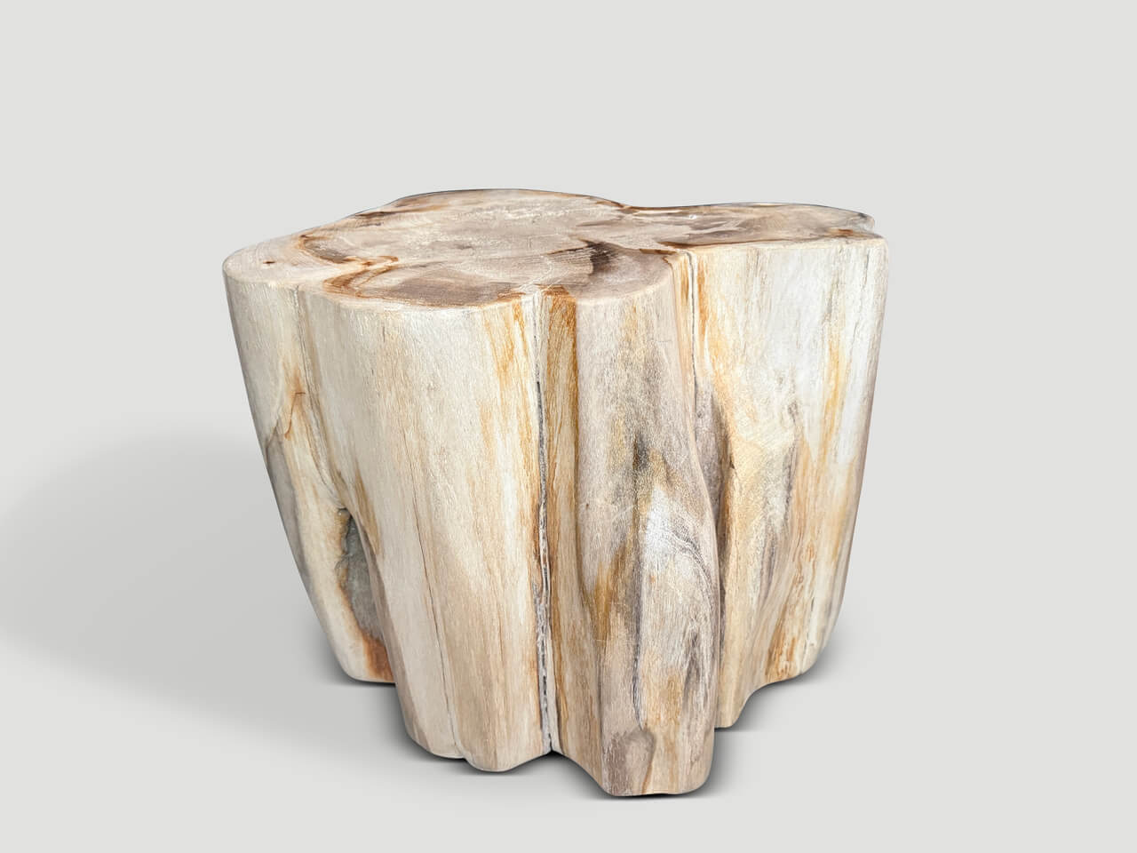 Impressive High Quality Ancient Petrified Wood Side Table