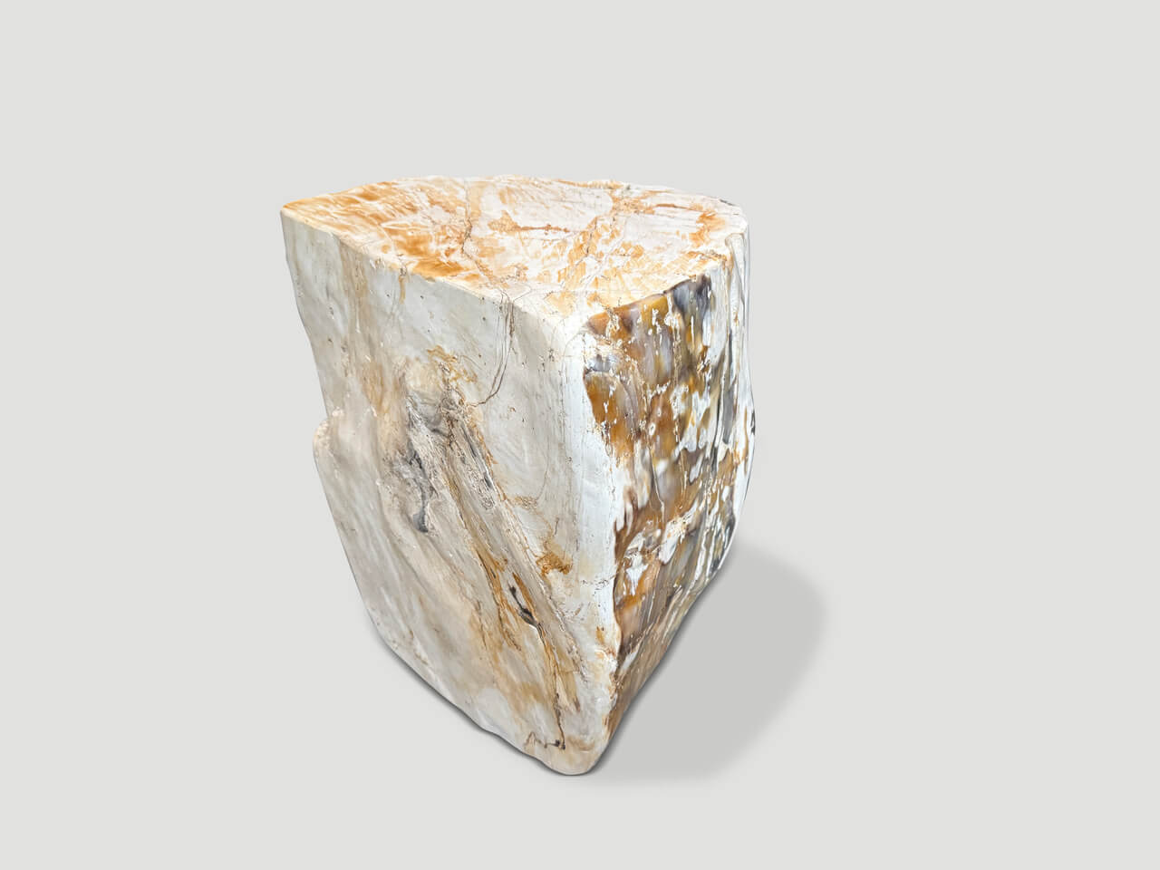 MULTIFACETED MODERN ORGANIC PETRIFIED WOOD SIDE TABLE