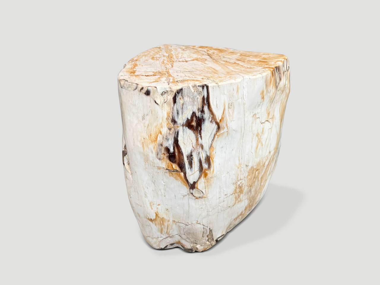 MULTIFACETED MODERN ORGANIC PETRIFIED WOOD SIDE TABLE
