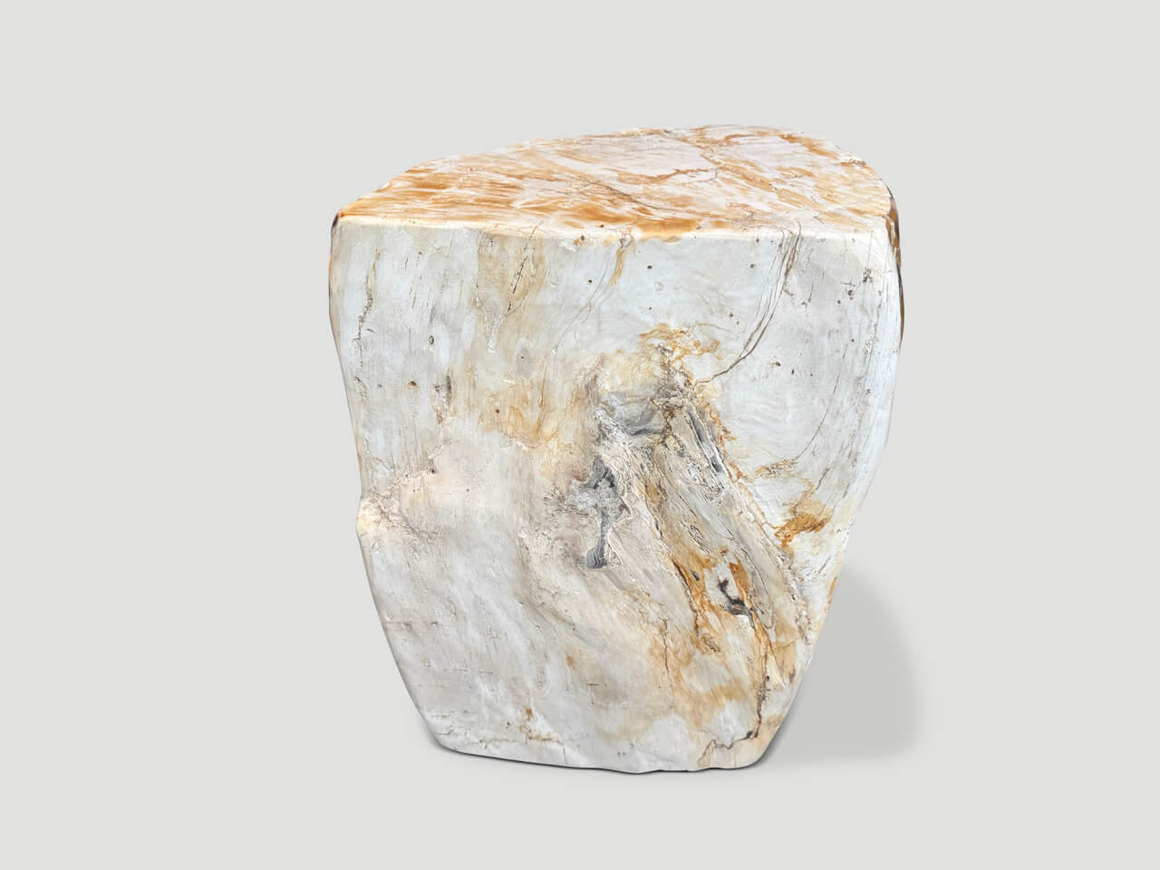 MULTIFACETED MODERN ORGANIC PETRIFIED WOOD SIDE TABLE