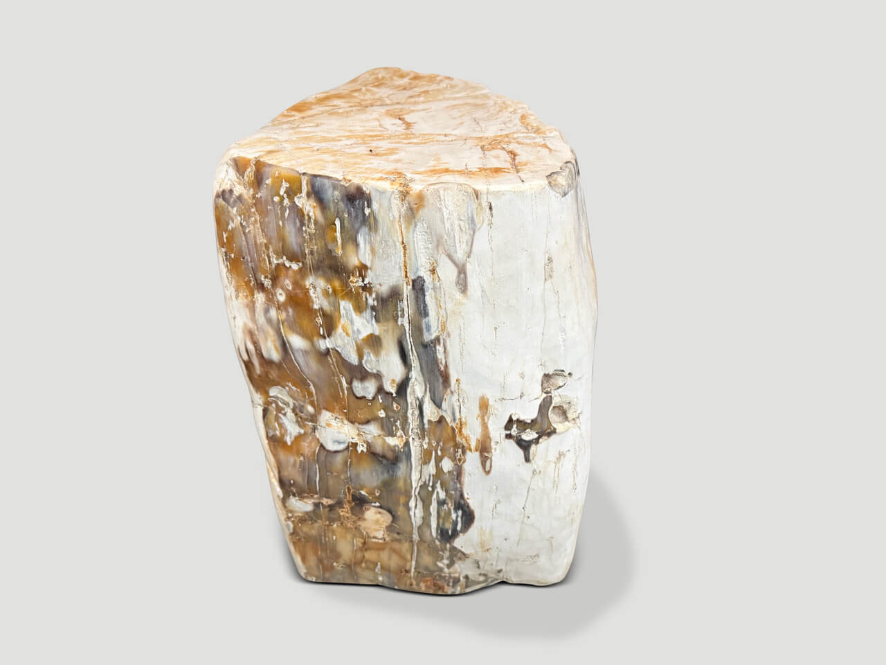 MULTIFACETED MODERN ORGANIC PETRIFIED WOOD SIDE TABLE