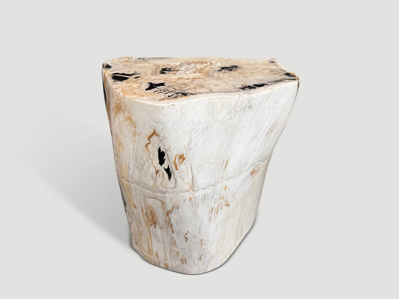 MULTIFACETED MODERN ORGANIC PETRIFIED WOOD SIDE TABLE
