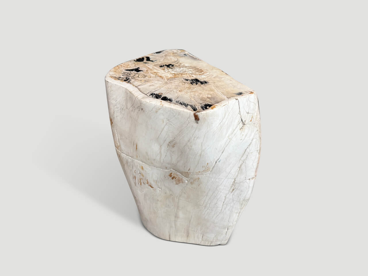 MULTIFACETED MODERN ORGANIC PETRIFIED WOOD SIDE TABLE