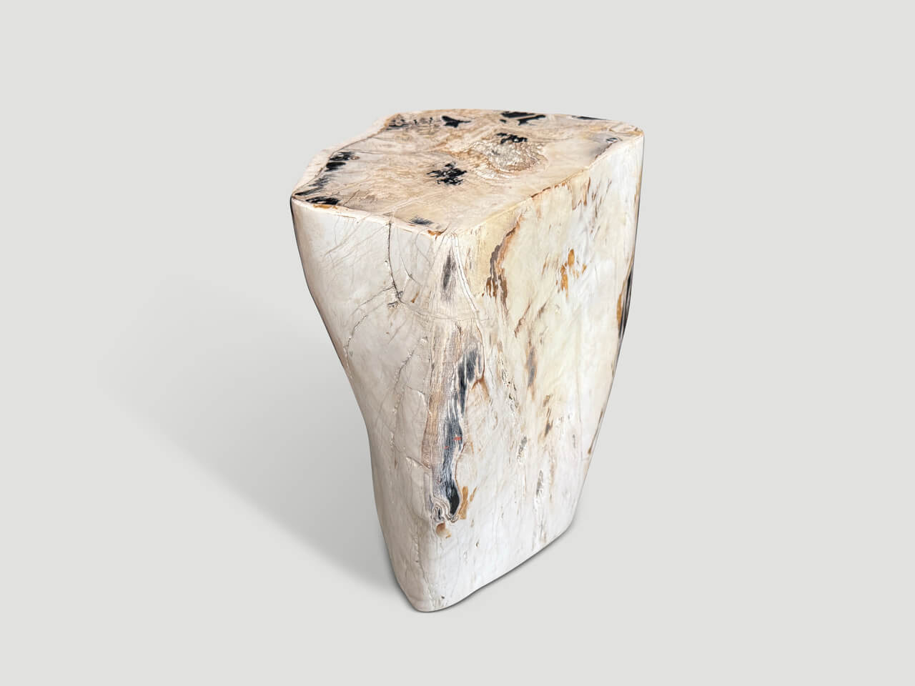 MULTIFACETED MODERN ORGANIC PETRIFIED WOOD SIDE TABLE