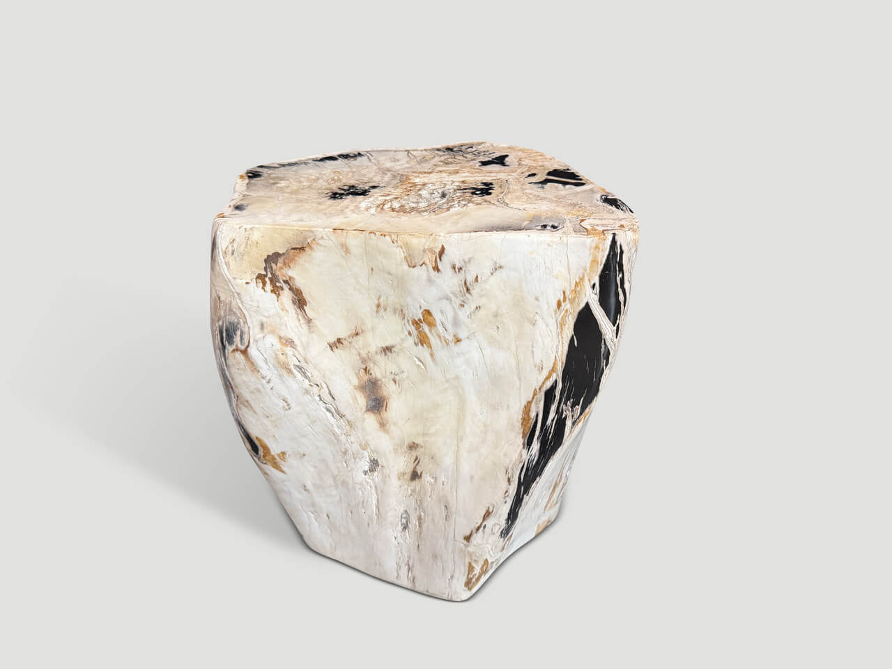 MULTIFACETED MODERN ORGANIC PETRIFIED WOOD SIDE TABLE