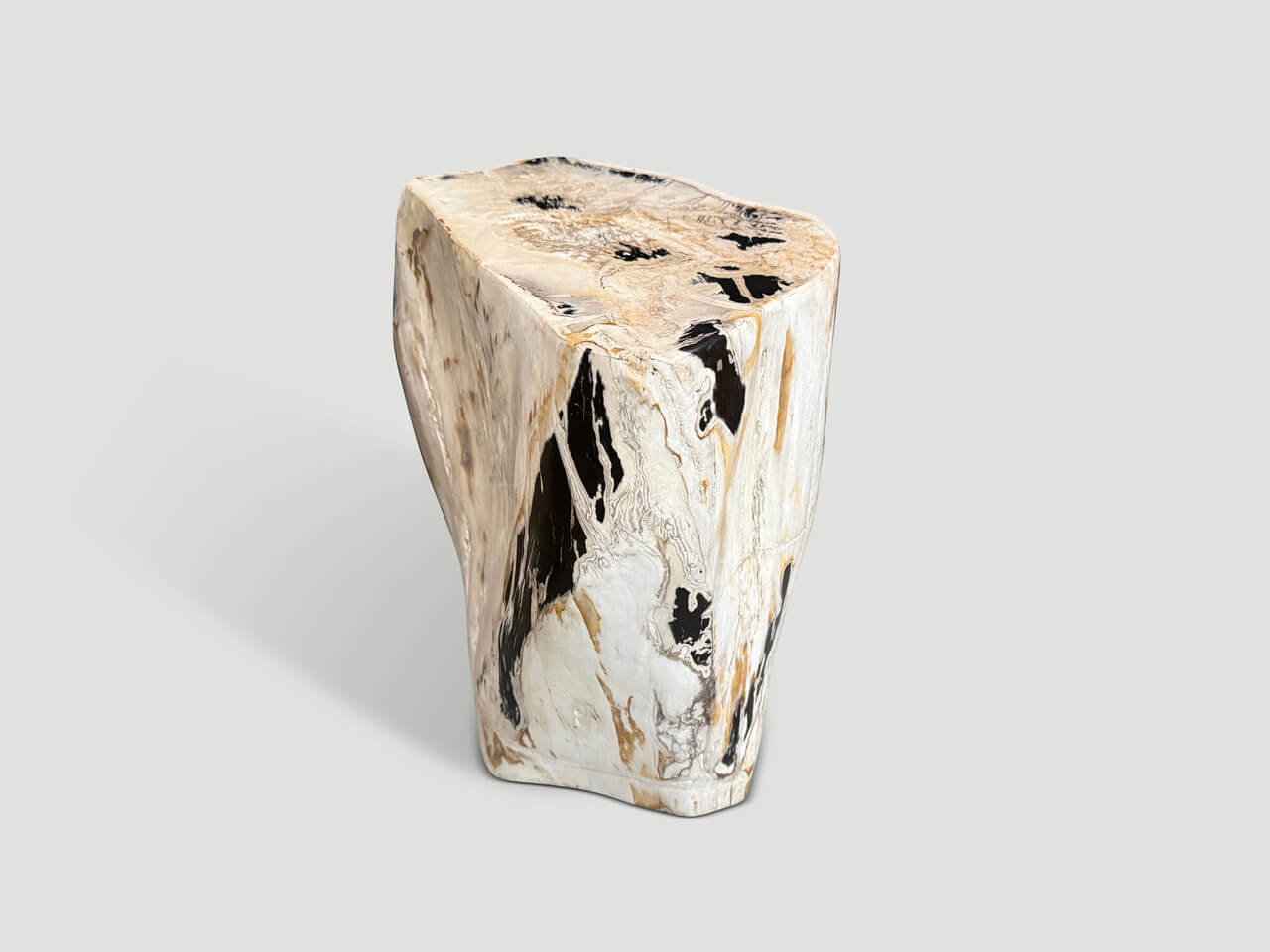 MULTIFACETED MODERN ORGANIC PETRIFIED WOOD SIDE TABLE