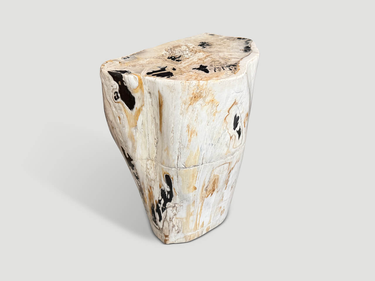 MULTIFACETED MODERN ORGANIC PETRIFIED WOOD SIDE TABLE