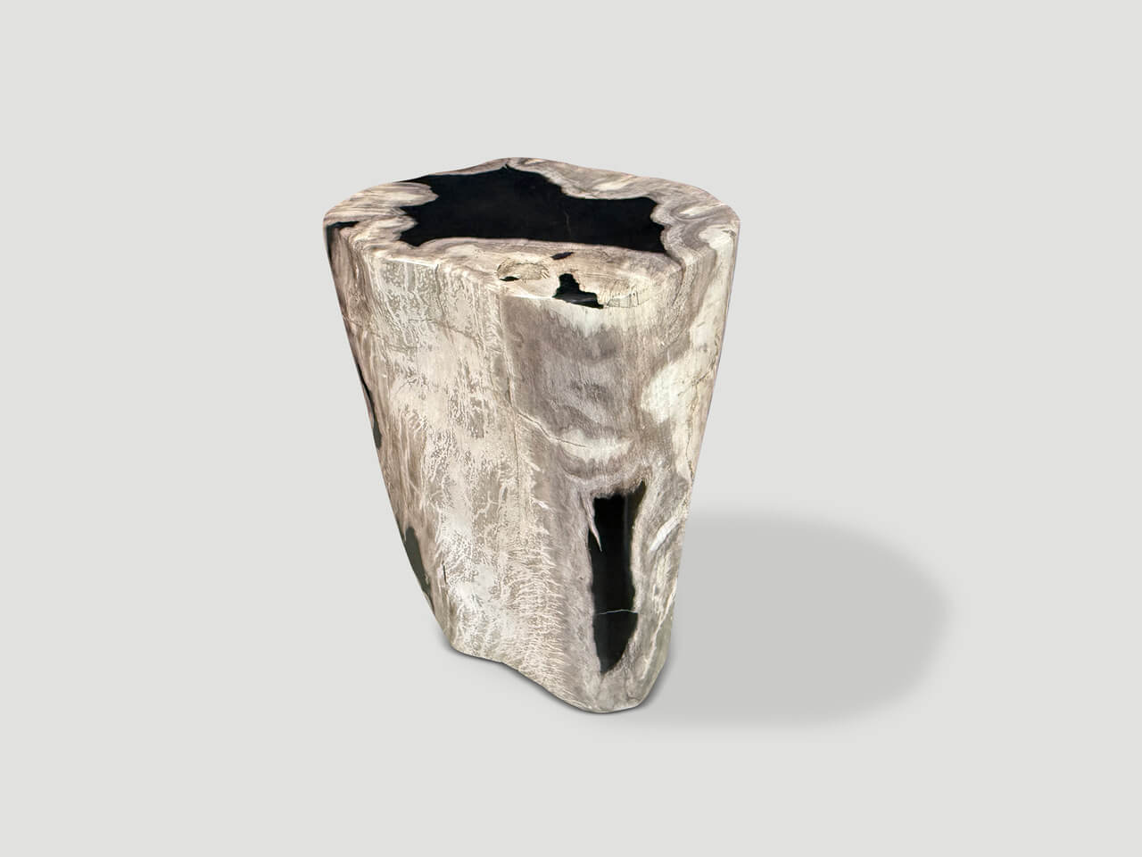 ABSTRACT HIGH QUALITY PETRIFIED WOOD SIDE TABLE