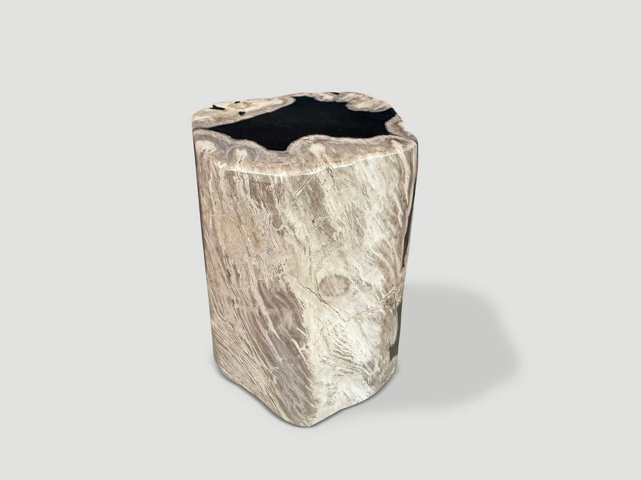 ABSTRACT HIGH QUALITY PETRIFIED WOOD SIDE TABLE