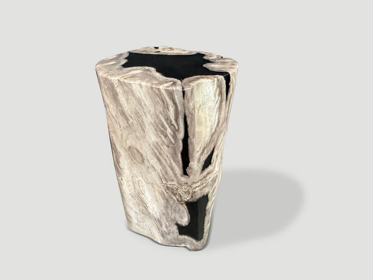 Abstract High Quality Petrified Wood Side Table