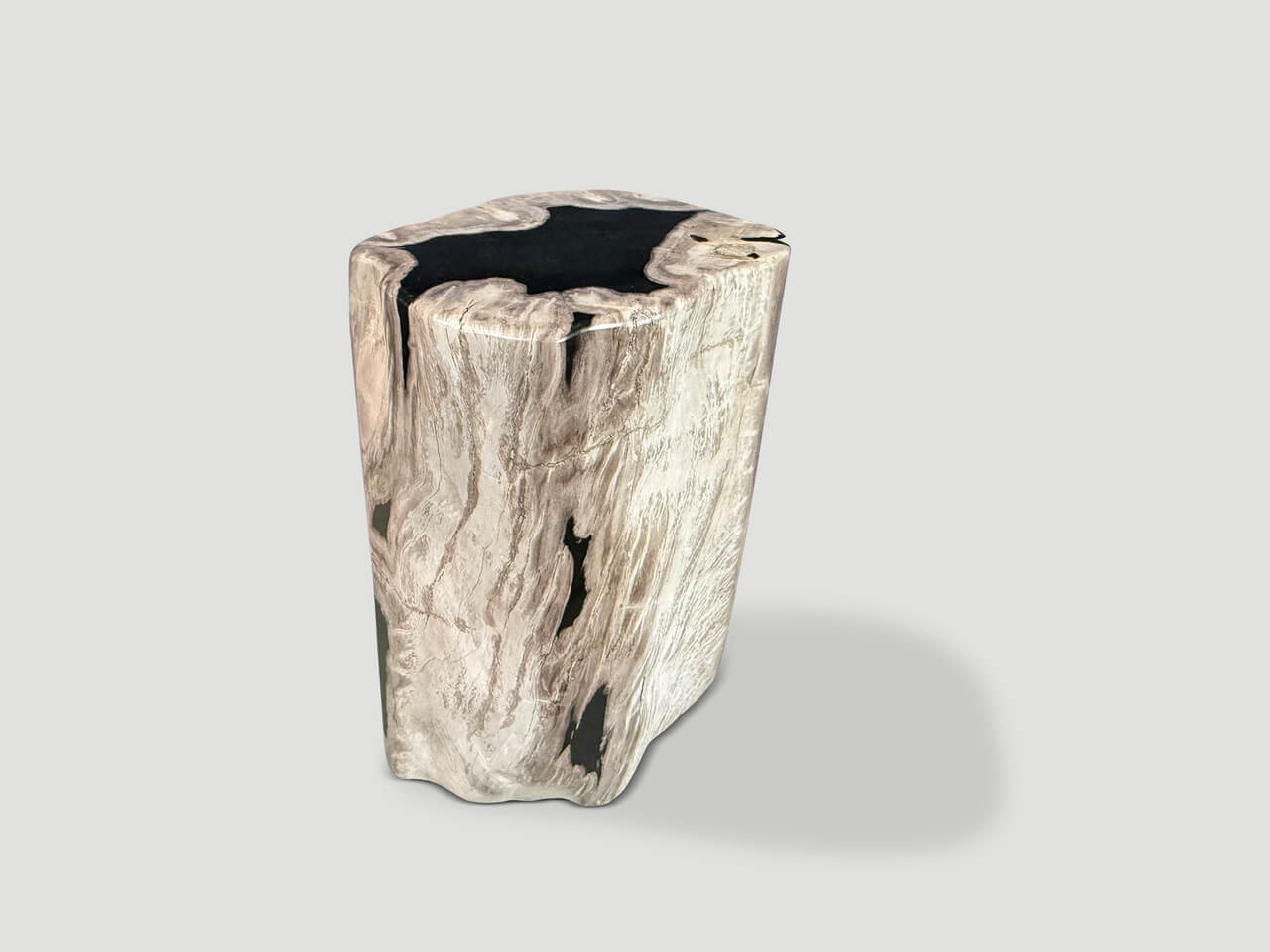 ABSTRACT HIGH QUALITY PETRIFIED WOOD SIDE TABLE