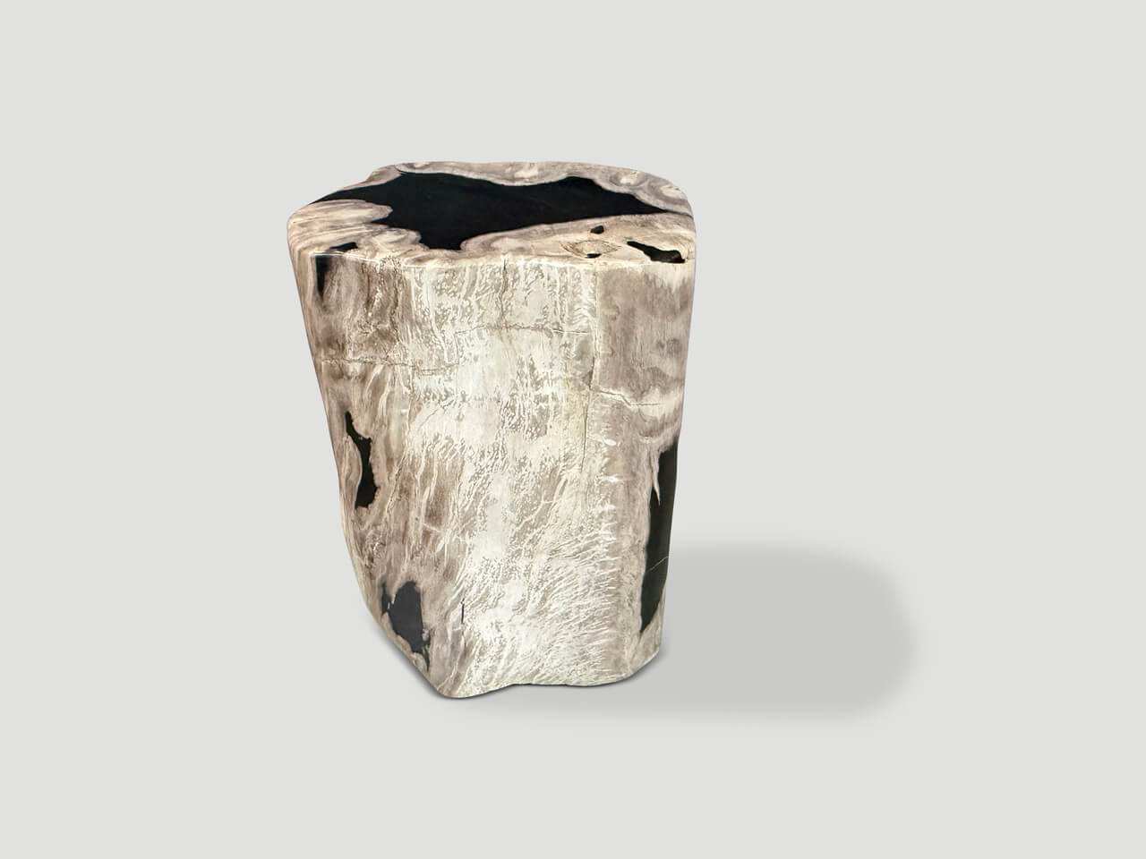 ABSTRACT HIGH QUALITY PETRIFIED WOOD SIDE TABLE