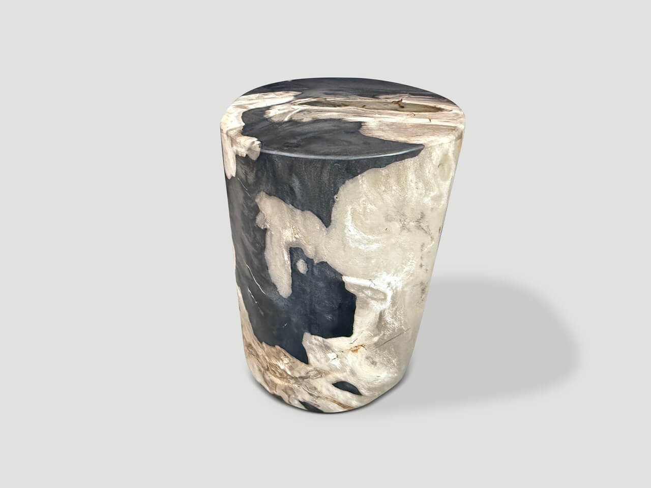MODERN ORGANIC PETRIFIED WOOD SIDE TABLE
