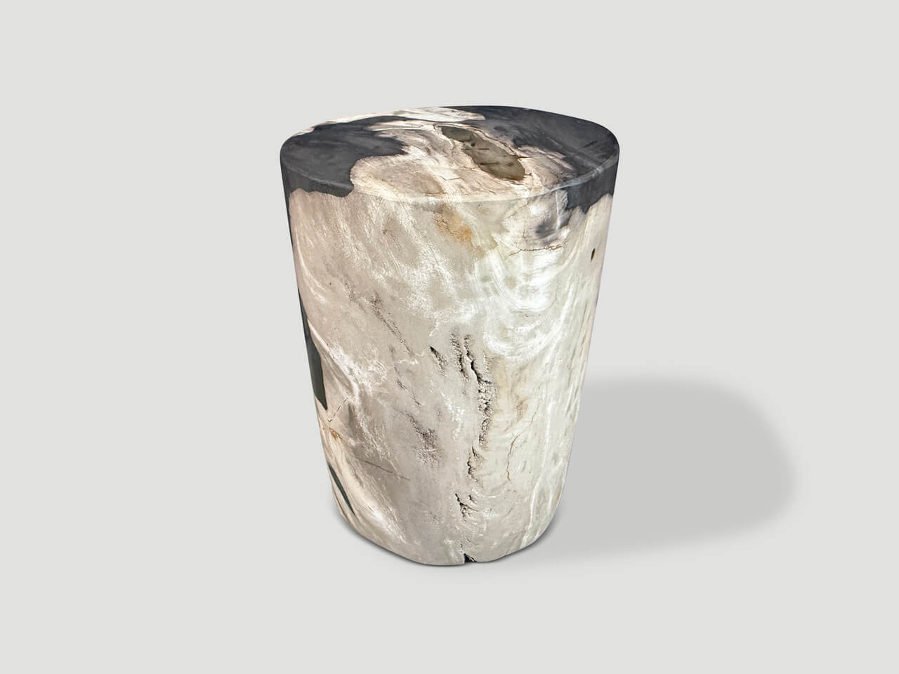 MODERN ORGANIC PETRIFIED WOOD SIDE TABLE