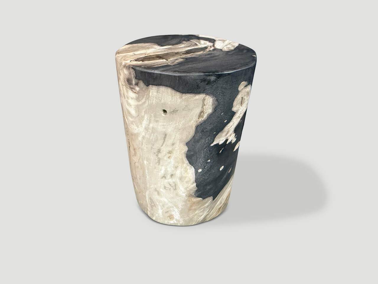 Modern Organic Petrified Wood Side Table