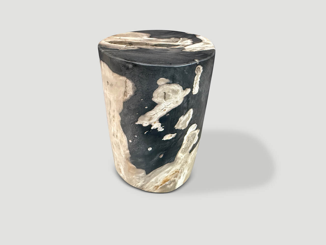 MODERN ORGANIC PETRIFIED WOOD SIDE TABLE