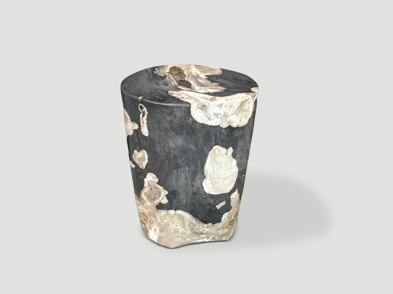 MODERN ORGANIC PETRIFIED WOOD SIDE TABLE
