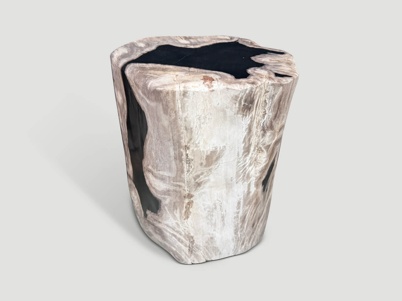 ABSTRACT HIGH QUALITY PETRIFIED WOOD SIDE TABLE