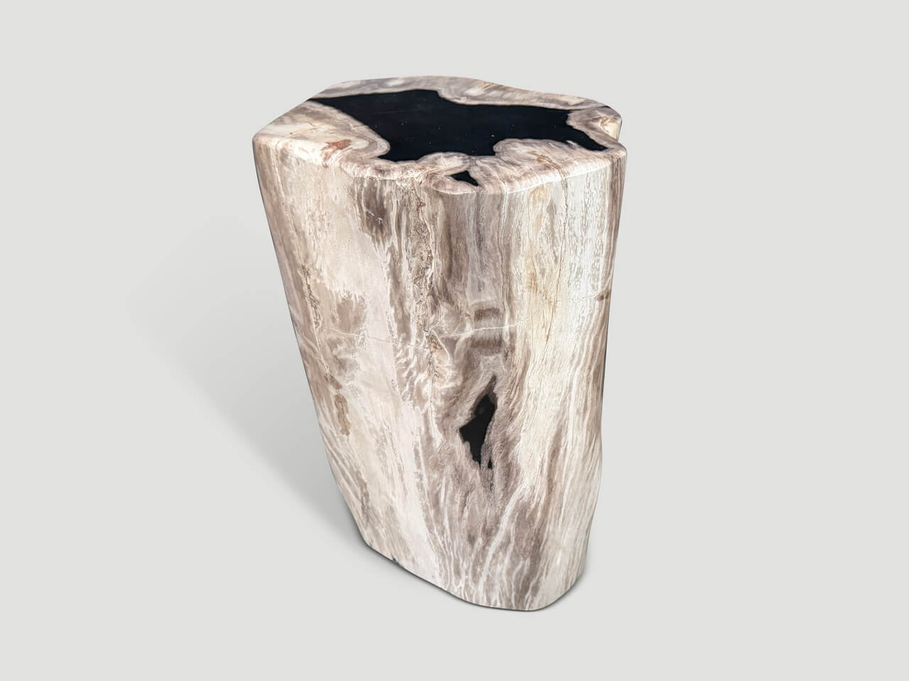 ABSTRACT HIGH QUALITY PETRIFIED WOOD SIDE TABLE
