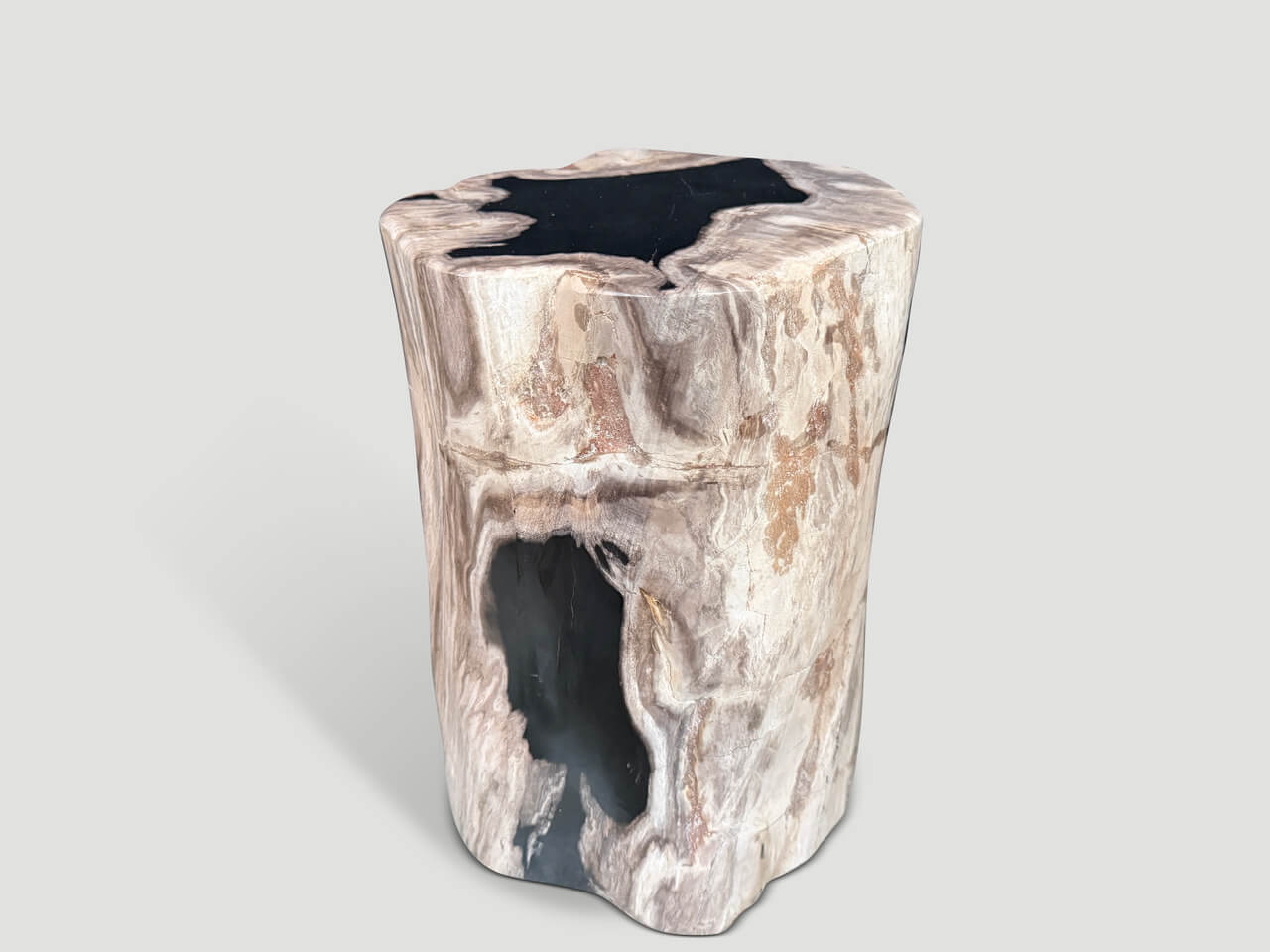ABSTRACT HIGH QUALITY PETRIFIED WOOD SIDE TABLE