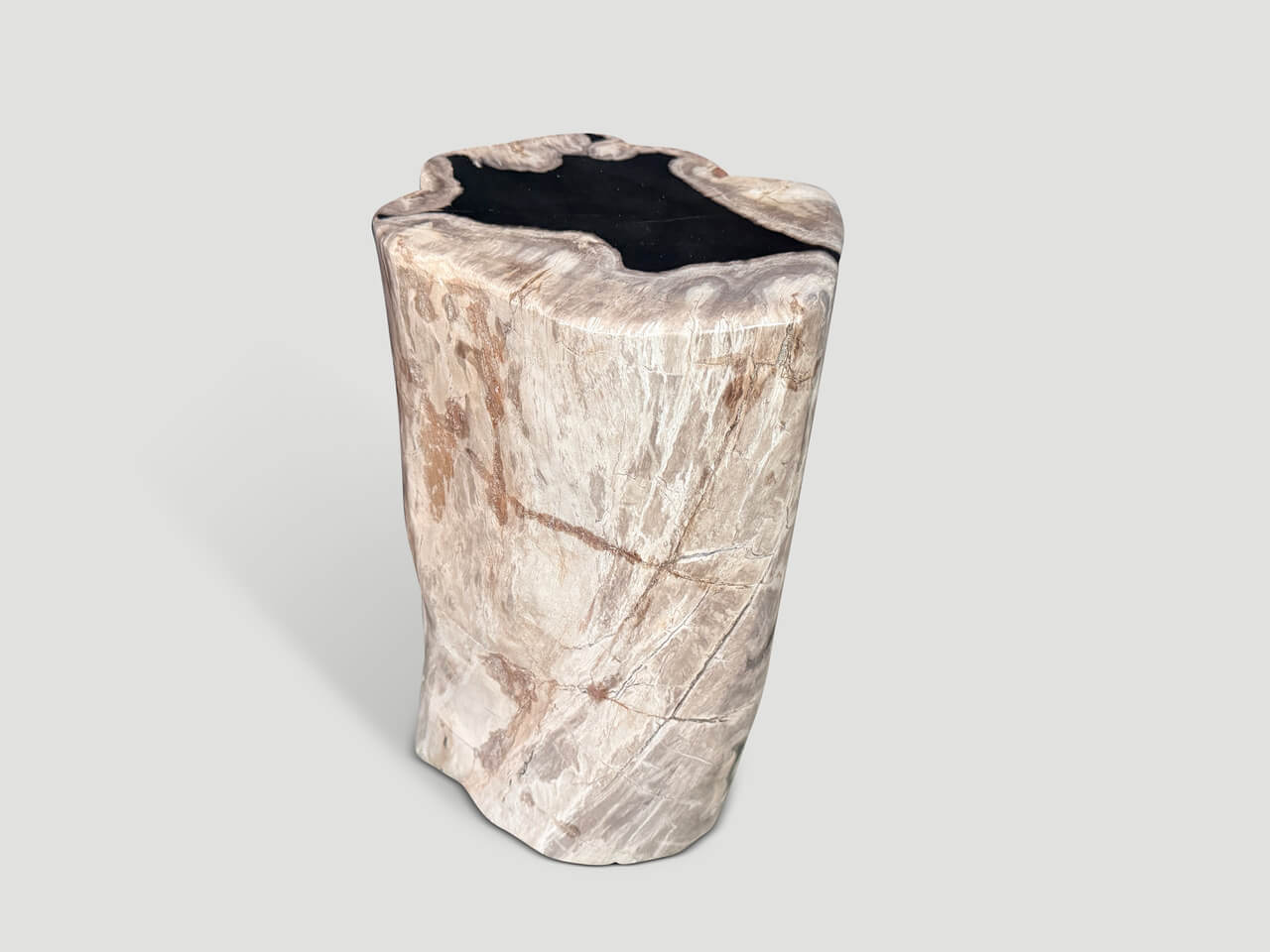 ABSTRACT HIGH QUALITY PETRIFIED WOOD SIDE TABLE