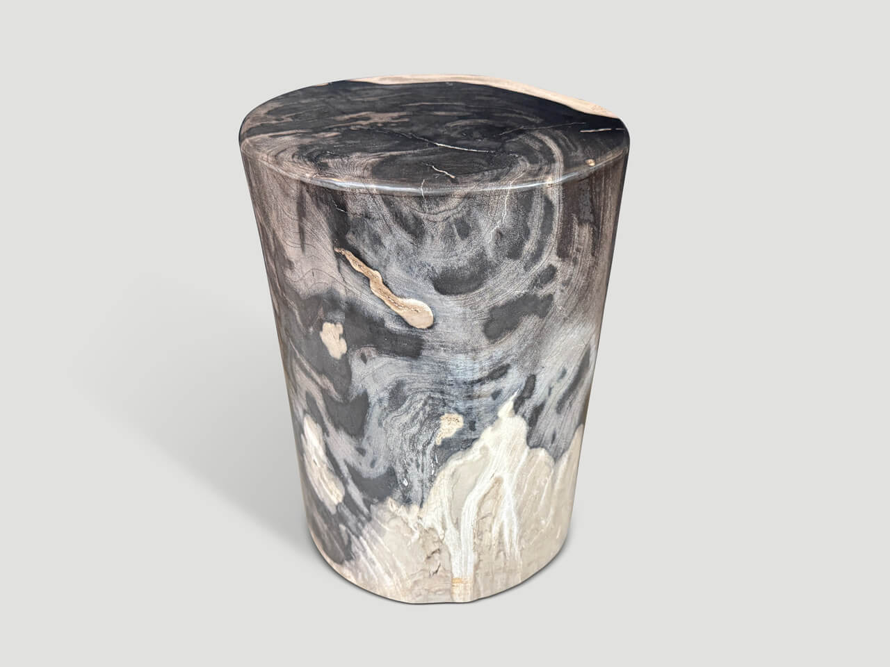 MODERN ORGANIC SUPER SMOOTH PETRIFIED WOOD SIDE TABLE