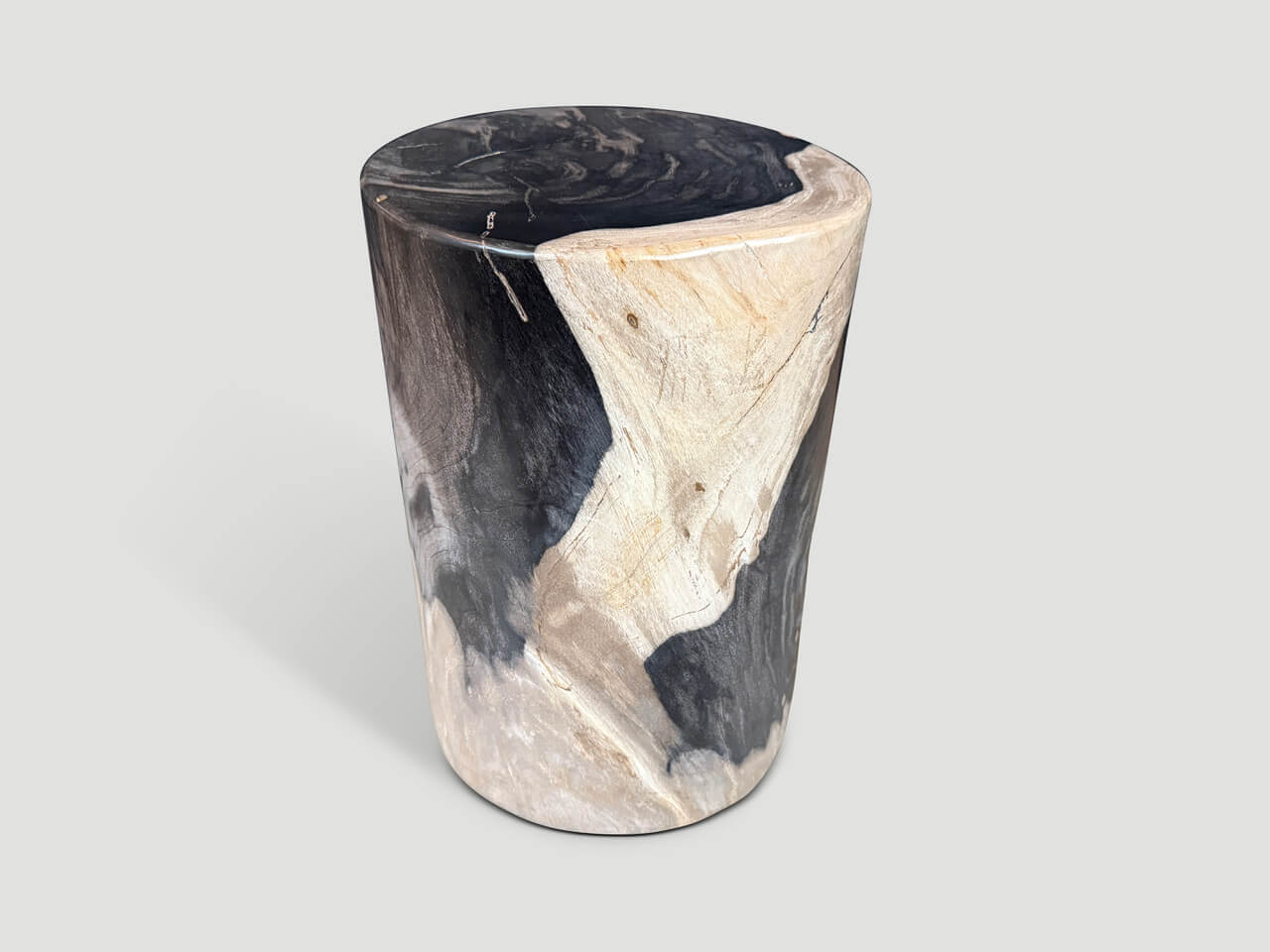 MODERN ORGANIC SUPER SMOOTH PETRIFIED WOOD SIDE TABLE