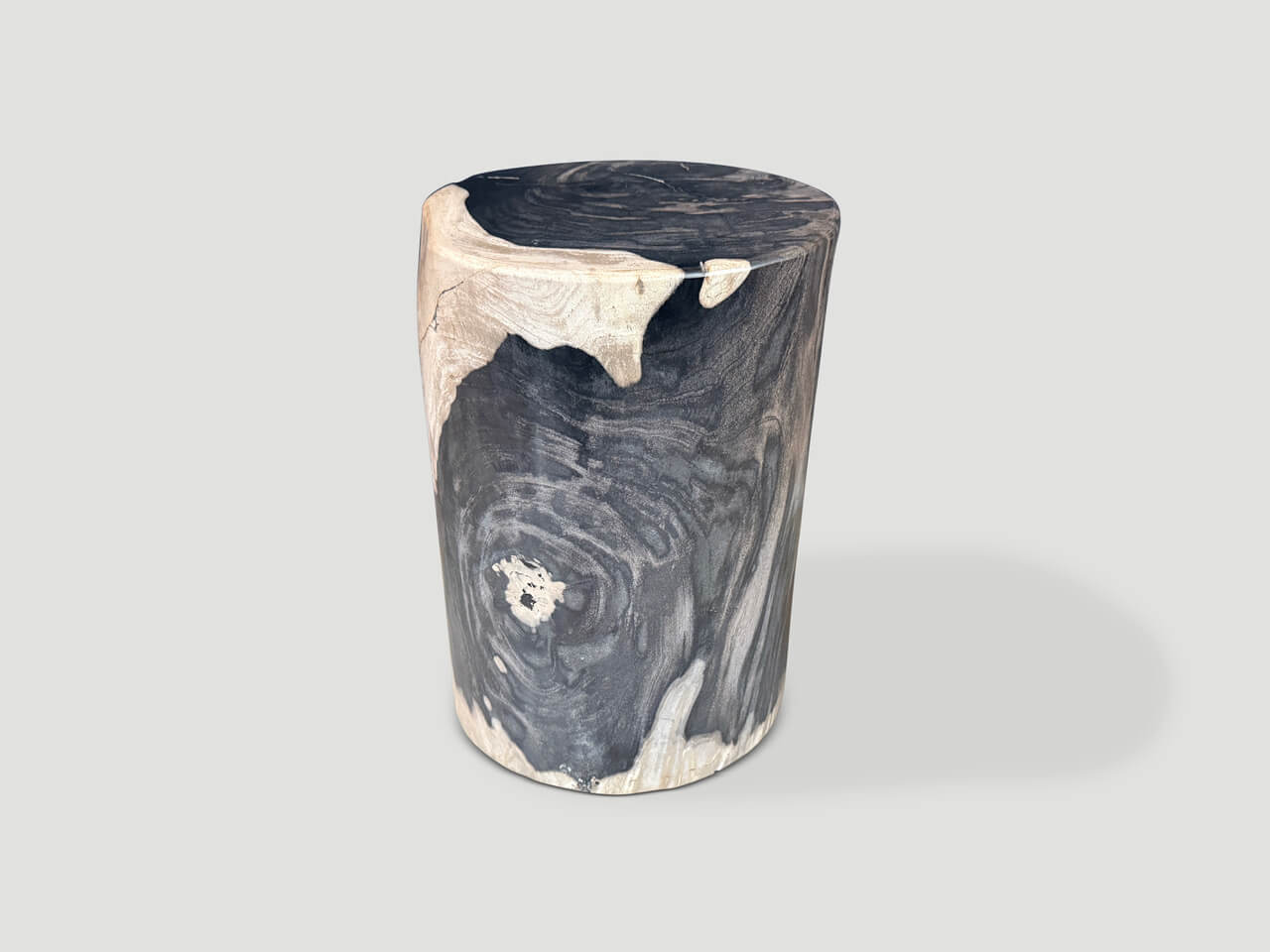 MODERN ORGANIC SUPER SMOOTH PETRIFIED WOOD SIDE TABLE