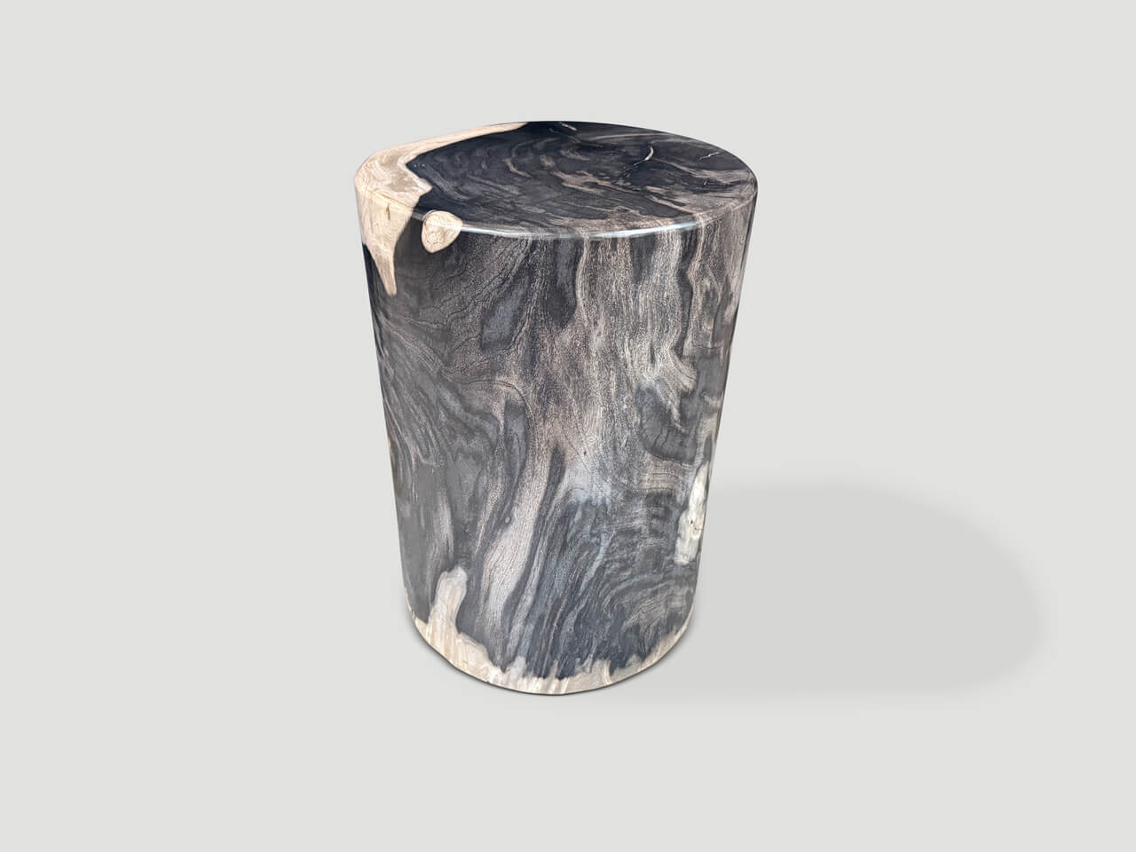 MODERN ORGANIC SUPER SMOOTH PETRIFIED WOOD SIDE TABLE