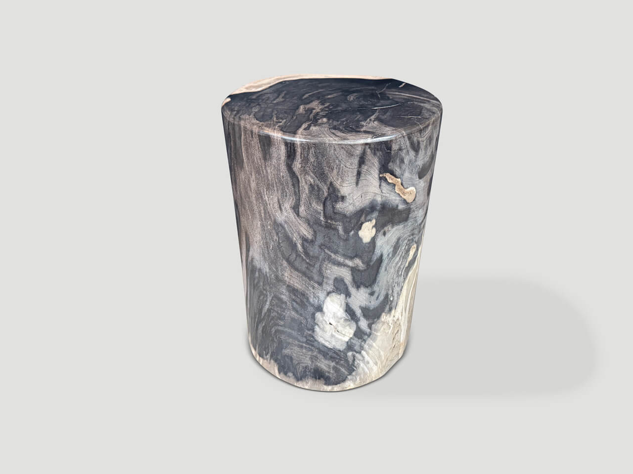 MODERN ORGANIC SUPER SMOOTH PETRIFIED WOOD SIDE TABLE