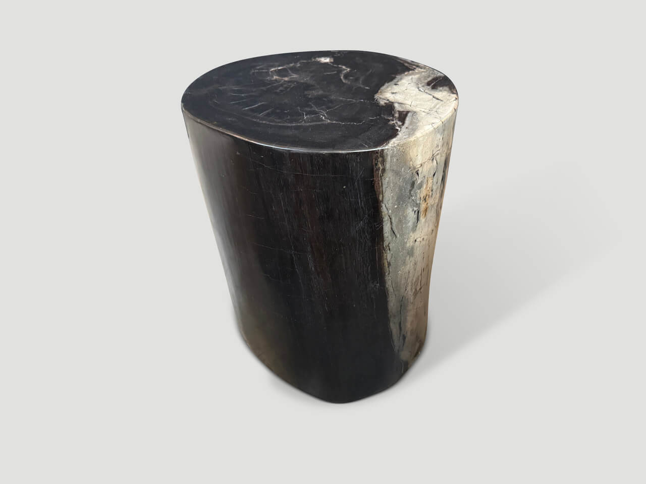 IMPRESSIVE ANCIENT PETRIFIED WOOD SIDE TABLE