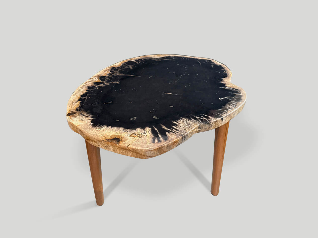 ANCIENT PALM PETRIFIED WOOD SIDE TABLE