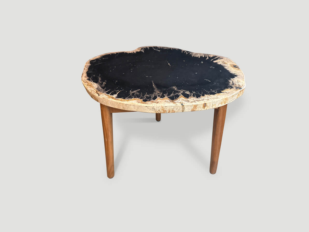 ANCIENT PALM PETRIFIED WOOD SIDE TABLE