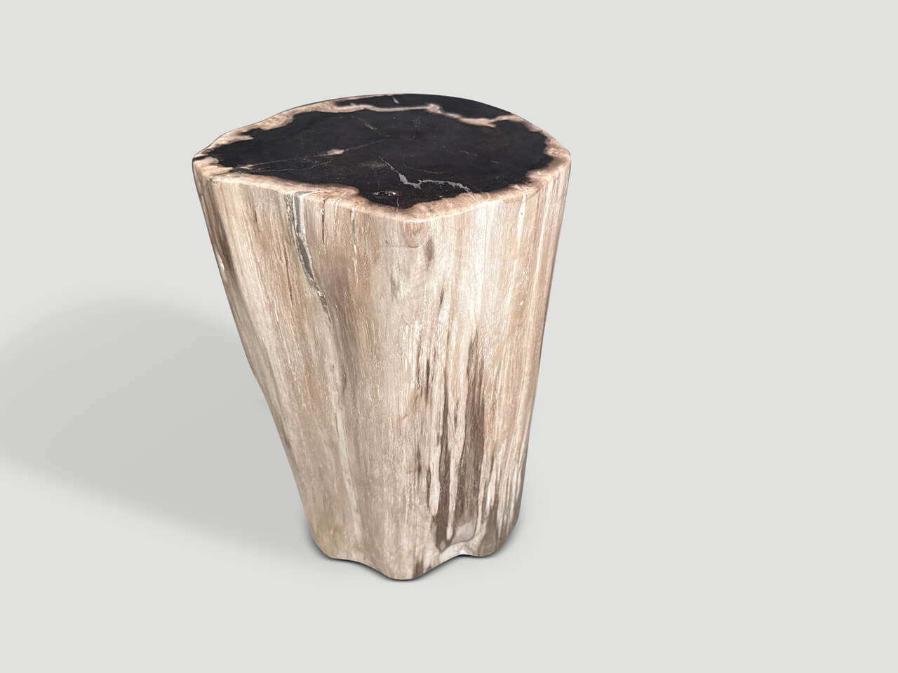 MODERN ORGANIC HIGH QUALITY PETRIFIED WOOD SIDE TABLE