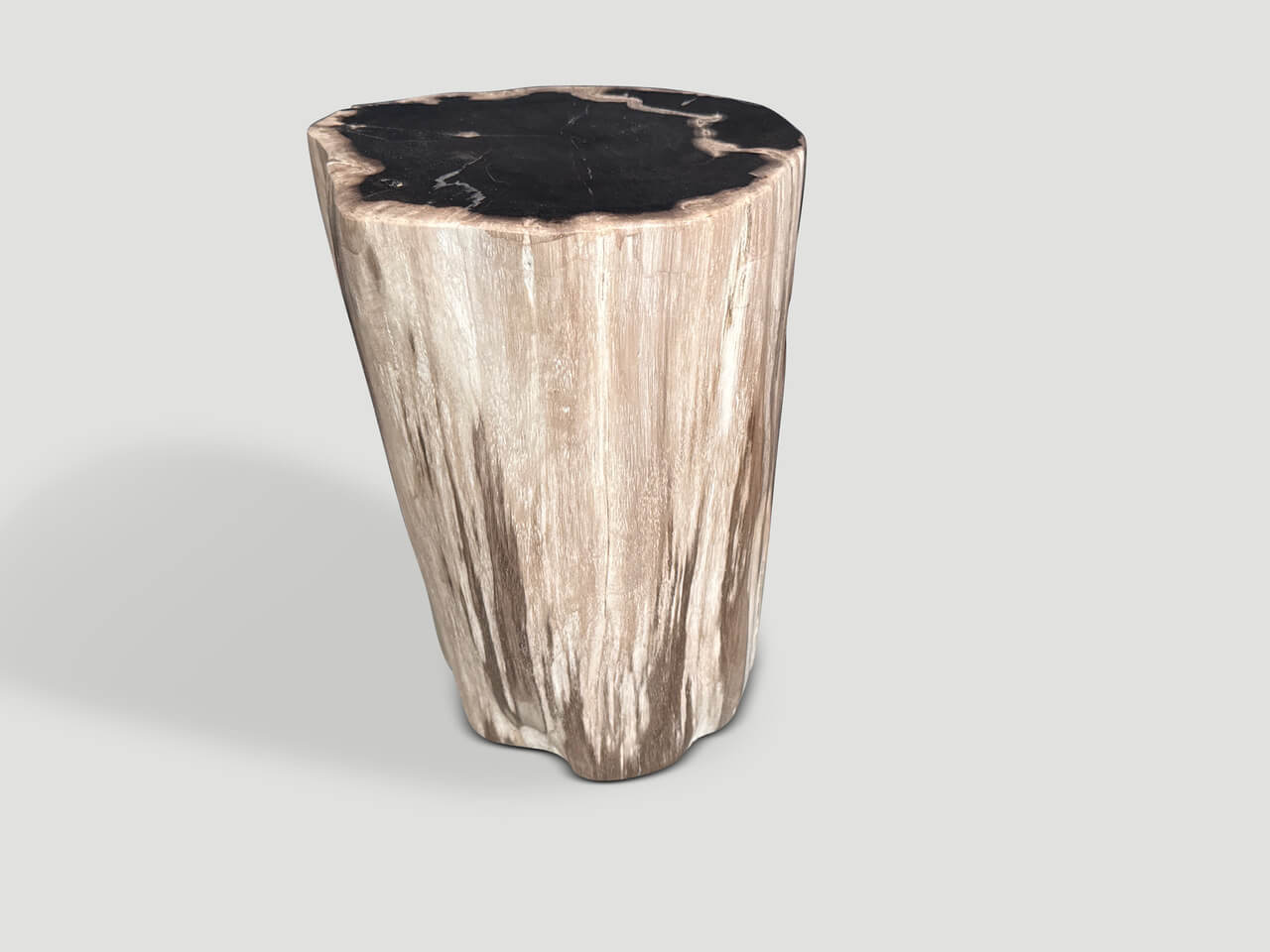 MODERN ORGANIC HIGH QUALITY PETRIFIED WOOD SIDE TABLE