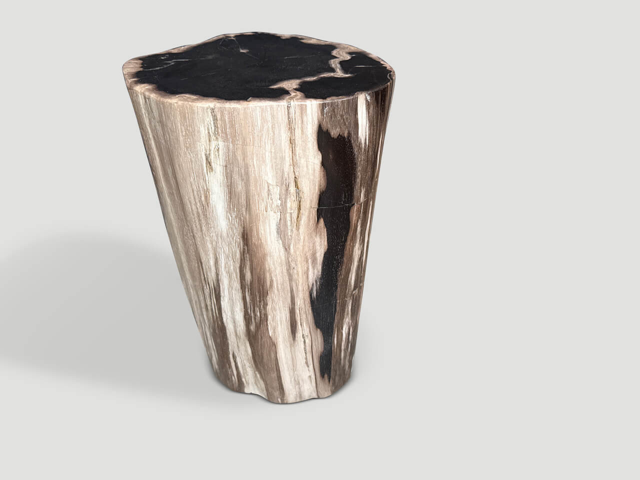 MODERN ORGANIC HIGH QUALITY PETRIFIED WOOD SIDE TABLE