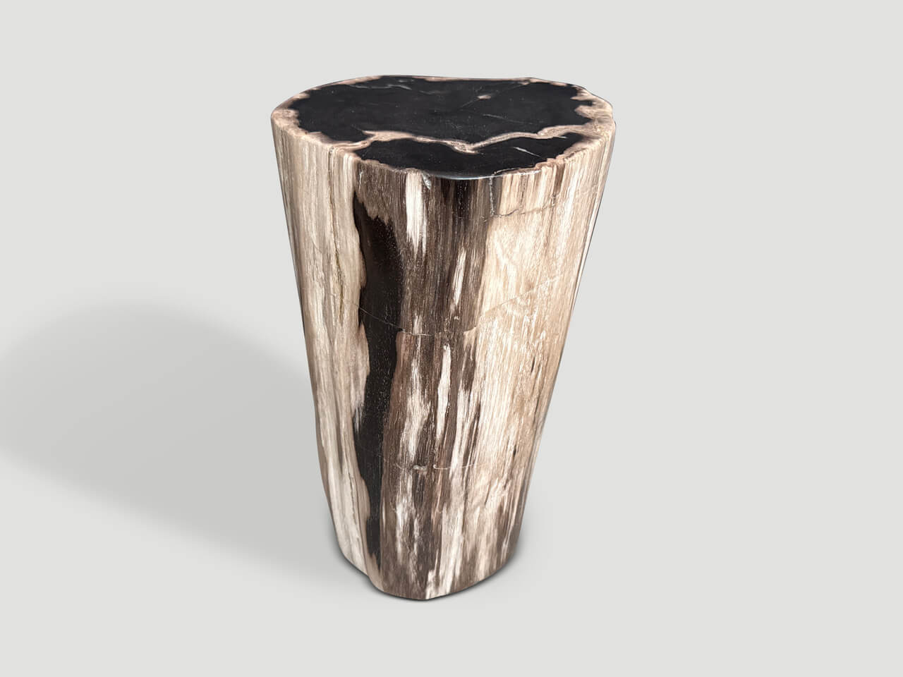 MODERN ORGANIC HIGH QUALITY PETRIFIED WOOD SIDE TABLE