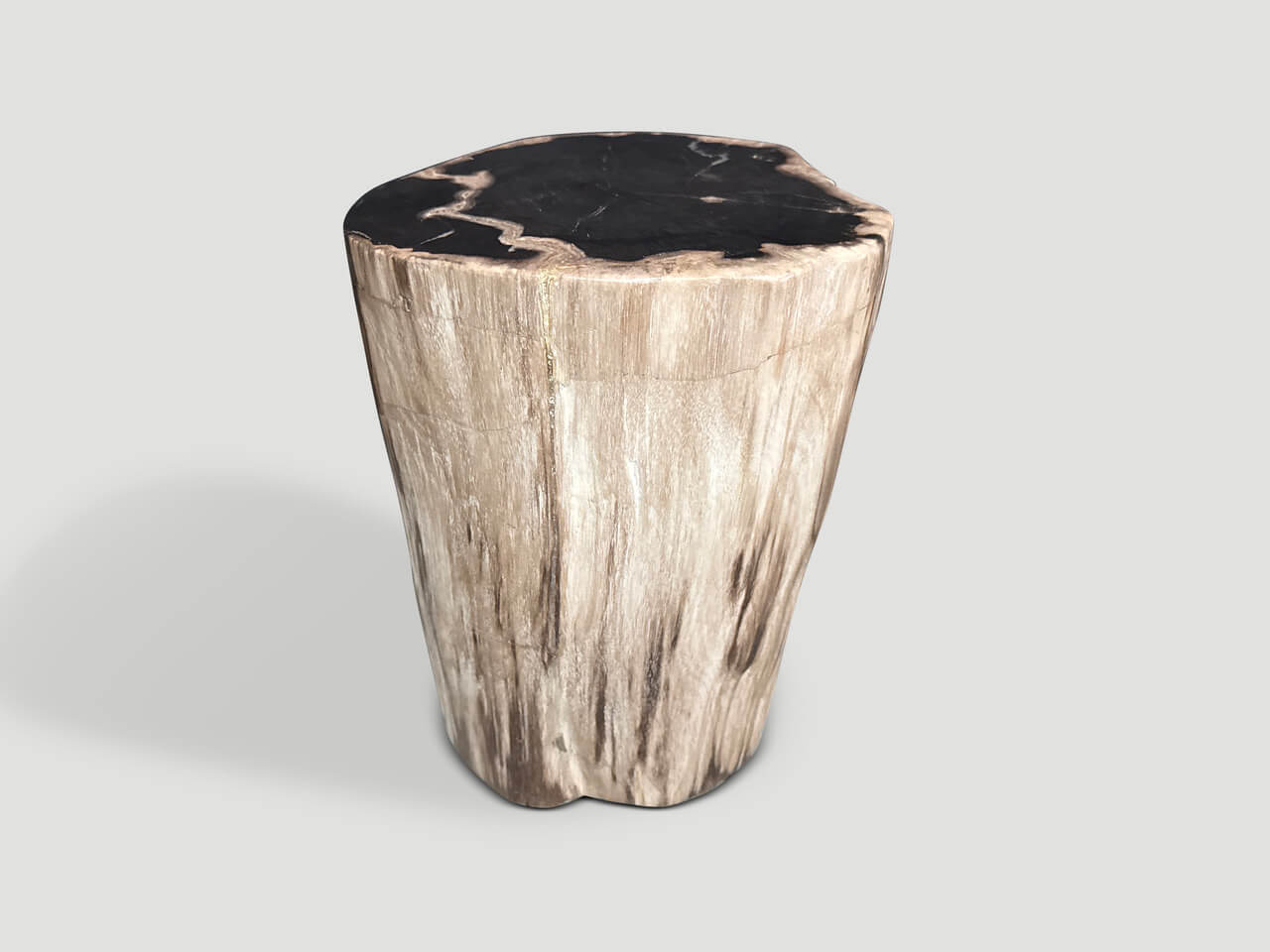 MODERN ORGANIC HIGH QUALITY PETRIFIED WOOD SIDE TABLE