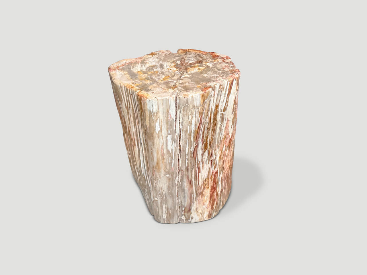 CORAL TONED ANCIENT PETRIFIED WOOD SIDE TABLE