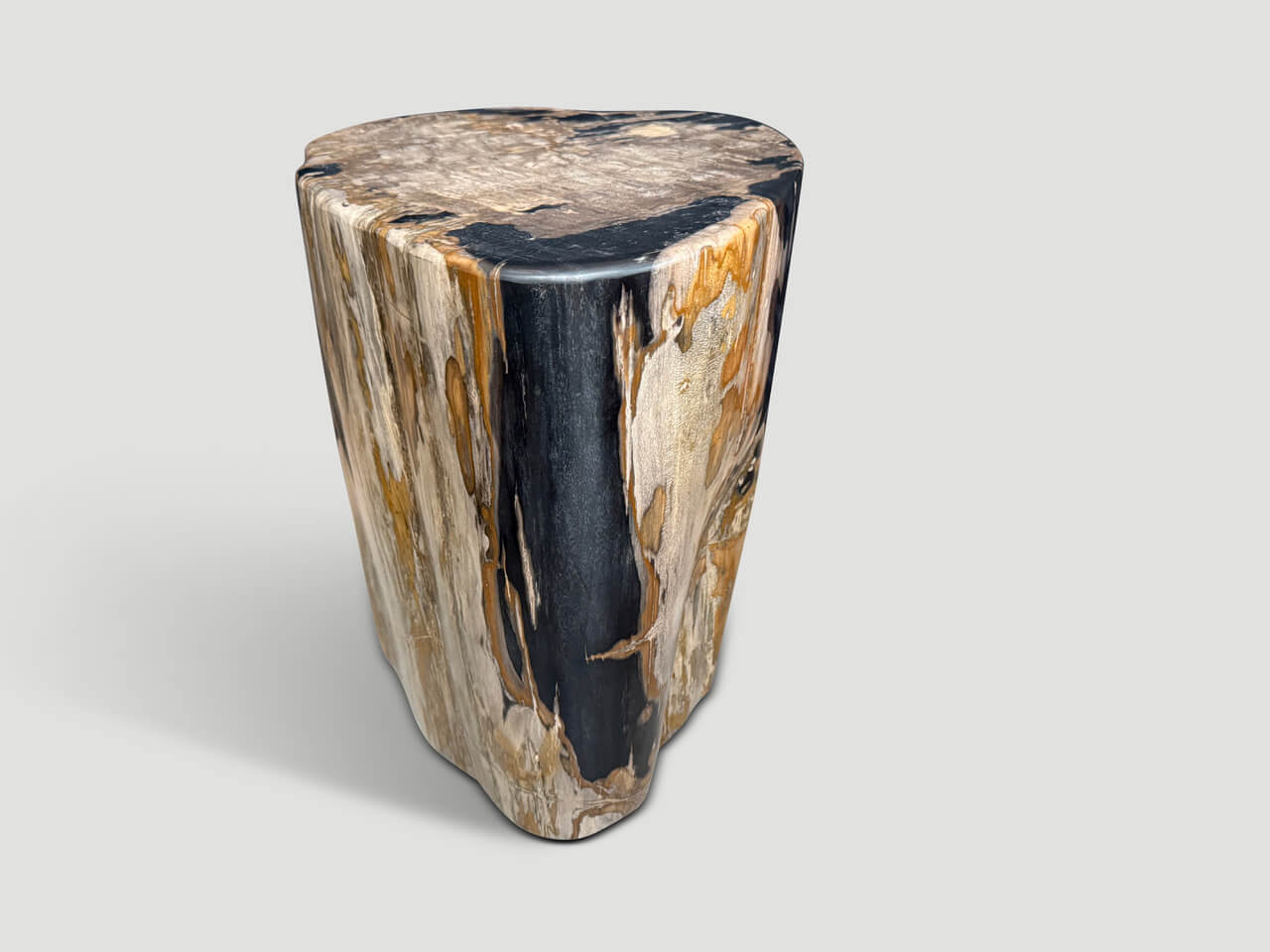 IMPRESSIVE HIGH QUALITY ANCIENT PETRIFIED WOOD SIDE TABLE
