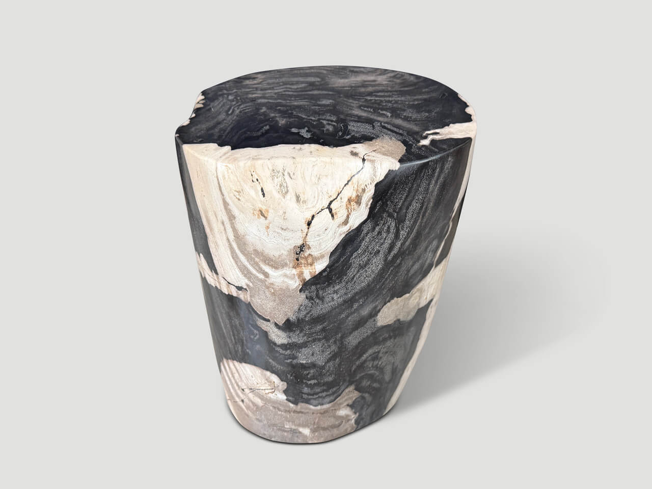 MODERN ORGANIC PETRIFIED WOOD SIDE TABLE