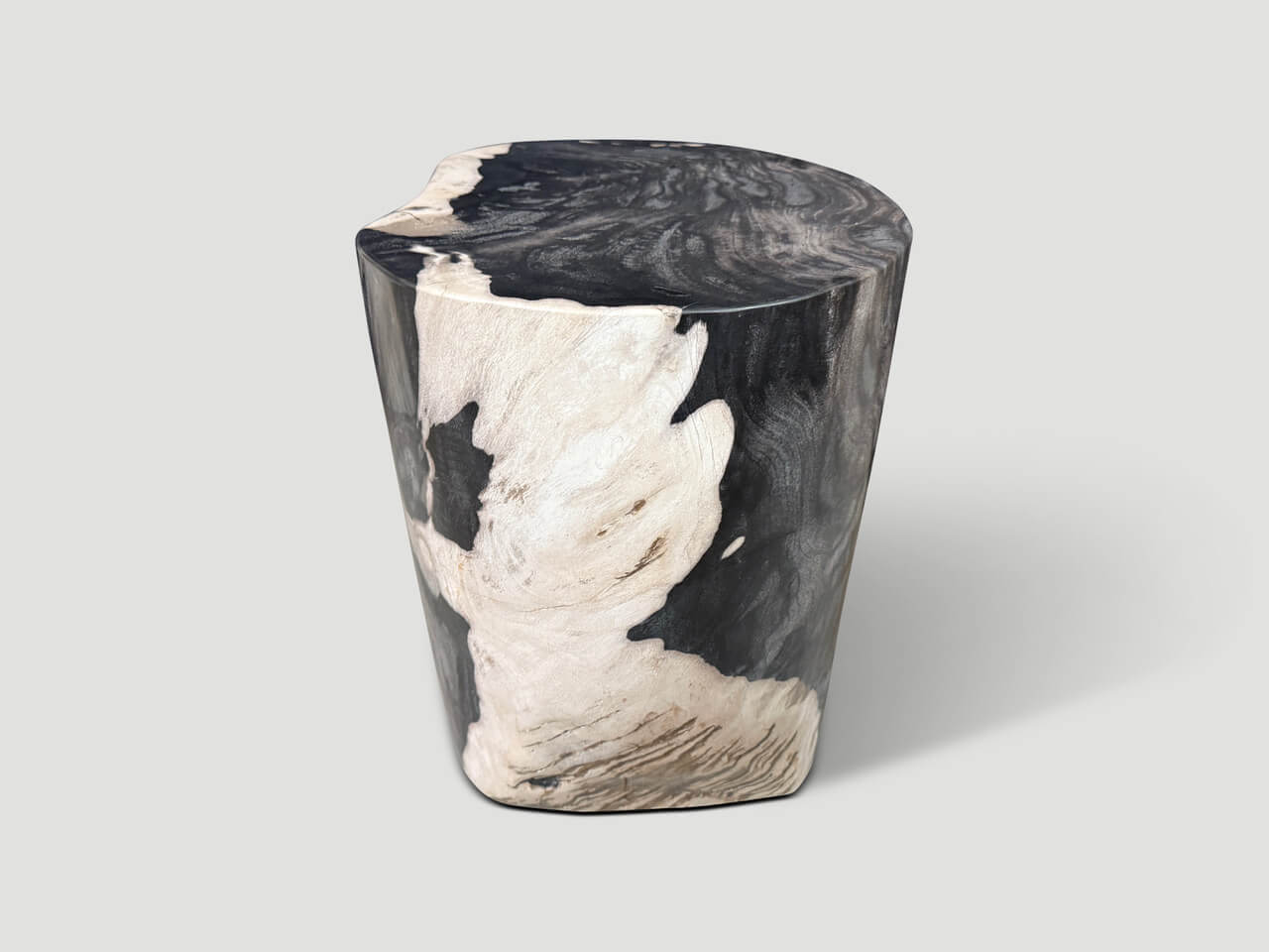 MODERN ORGANIC PETRIFIED WOOD SIDE TABLE