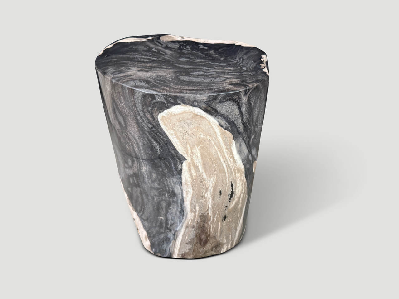 MODERN ORGANIC PETRIFIED WOOD SIDE TABLE