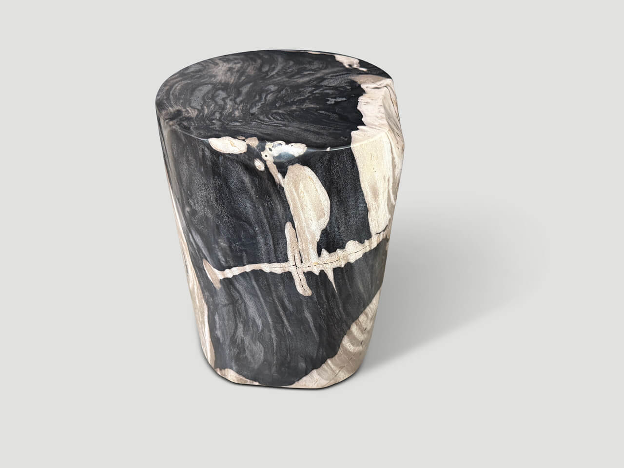MODERN ORGANIC PETRIFIED WOOD SIDE TABLE
