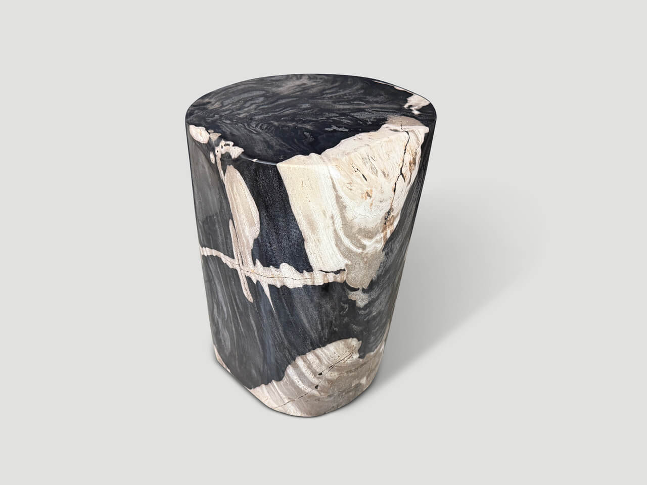 MODERN ORGANIC PETRIFIED WOOD SIDE TABLE