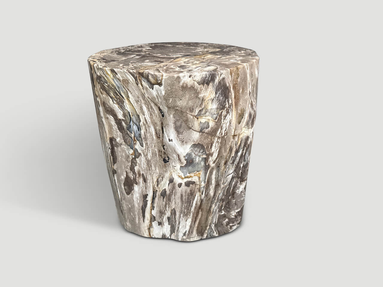ANCIENT PETRIFIED WOOD SIDE TABLE