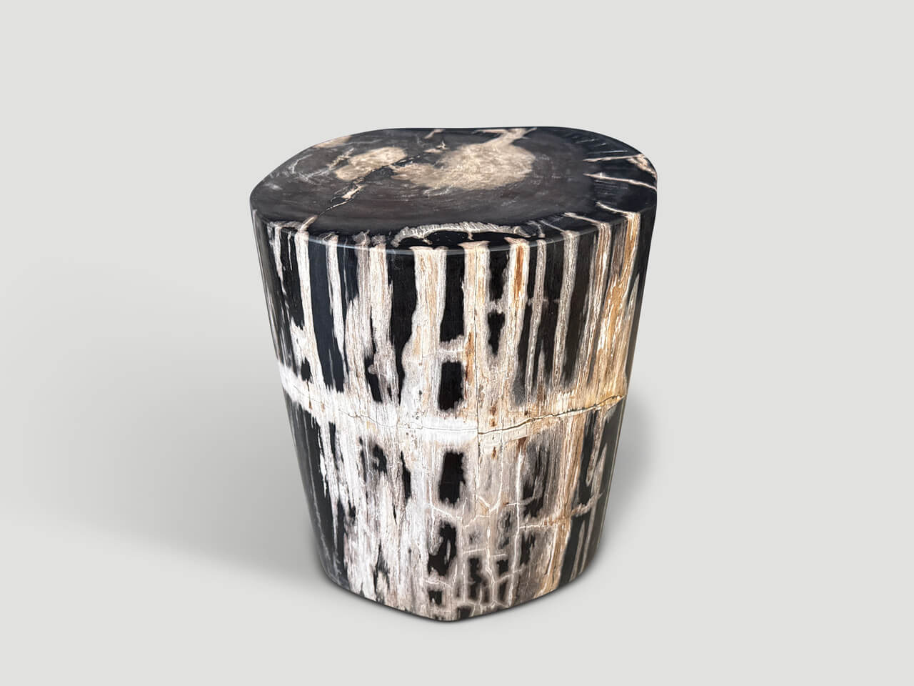 MODERN ORGANIC PETRIFIED WOOD SIDE TABLE