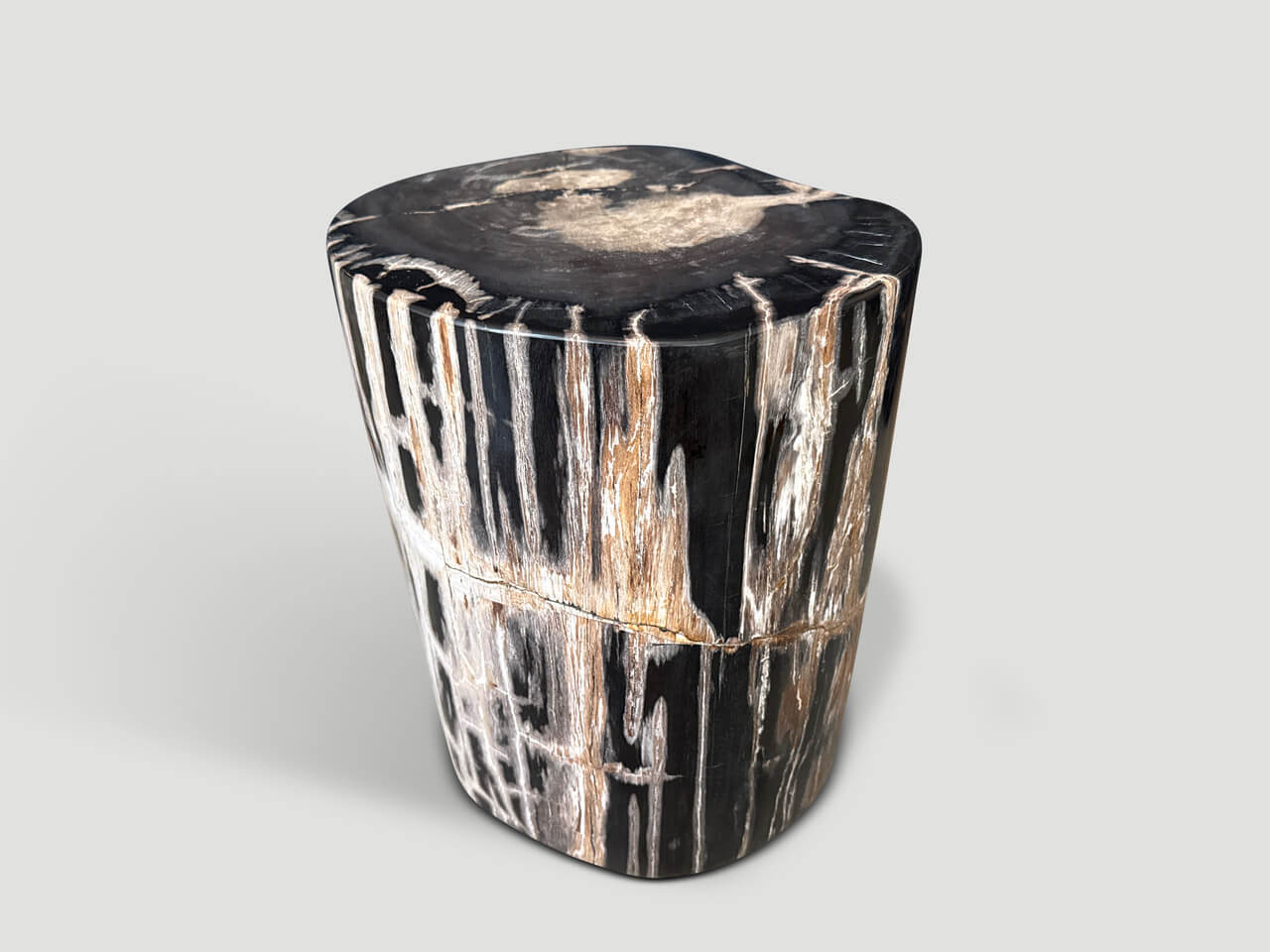 MODERN ORGANIC PETRIFIED WOOD SIDE TABLE