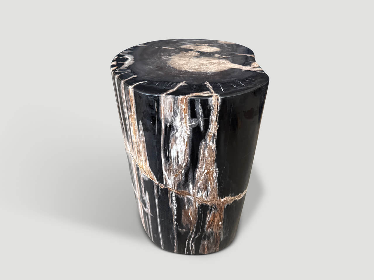MODERN ORGANIC PETRIFIED WOOD SIDE TABLE